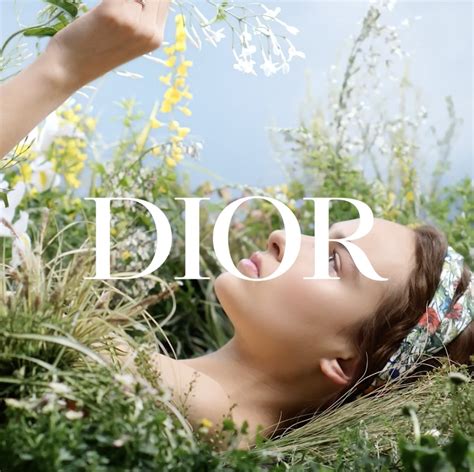 dior plasticity|dior sustainability today.